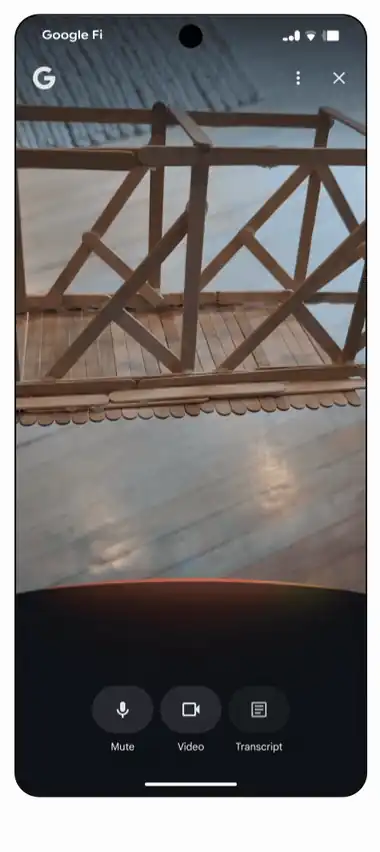 Google Search Live answering a question in real time about what the phone camera is pointed at
